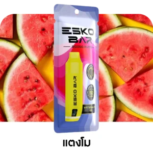 ESKO BAR 20000 Puffs Watermelon Ice