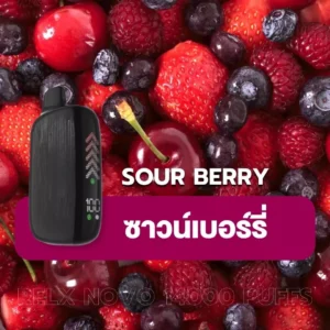 relx novo 14000 puff Sour Berry